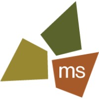 msconsultants.com