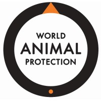 worldanimalprotection.org