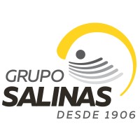 gruposalinas.com