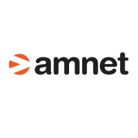 amnetgroup.com