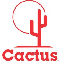 cactuswellhead.com