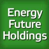 energyfutureholdings.com