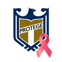 protege.com.br