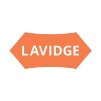 lavidge.com