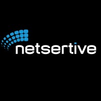 netsertive.com